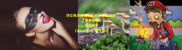 мет Михайловск