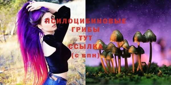 мет Михайловск